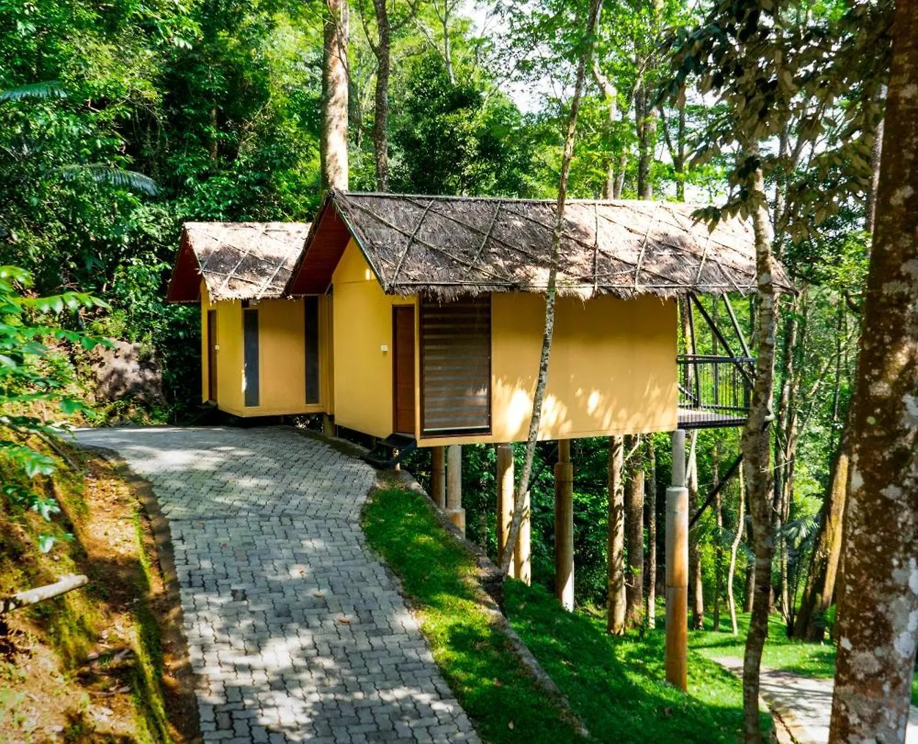 Song Of The Trees Hotel Idukki 0*,  India