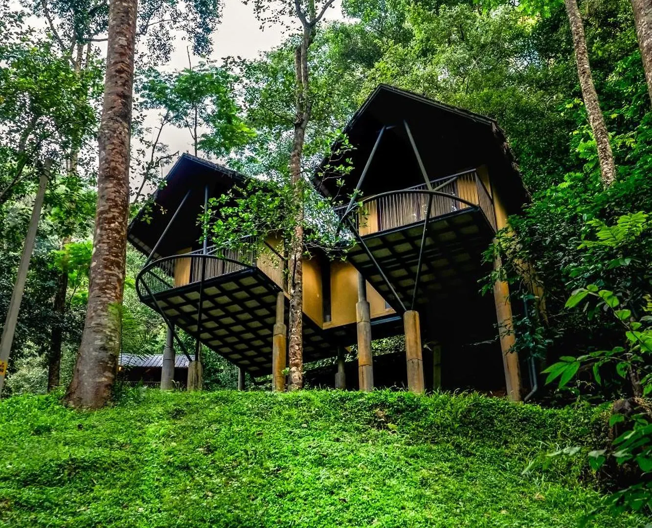 Song Of The Trees Hotel Idukki