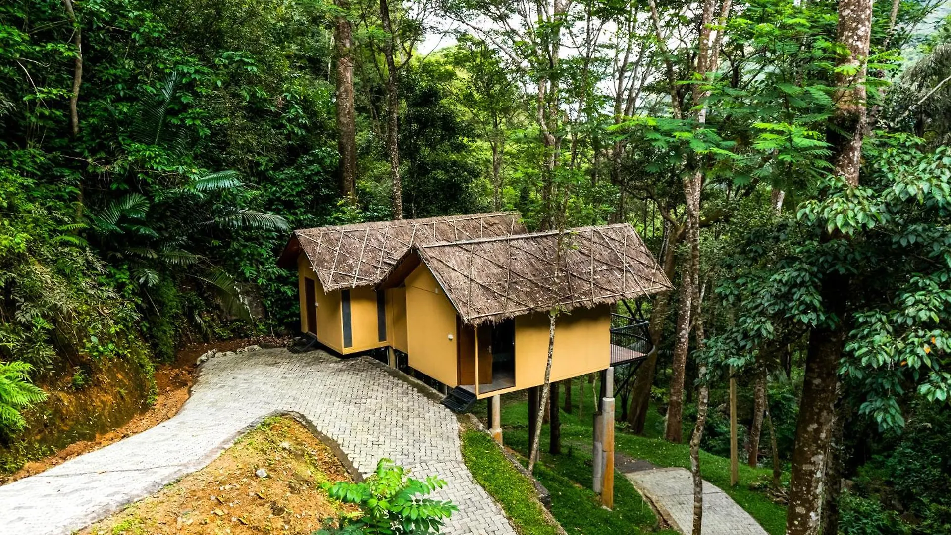 Resort Song Of The Trees Hotel Idukki
