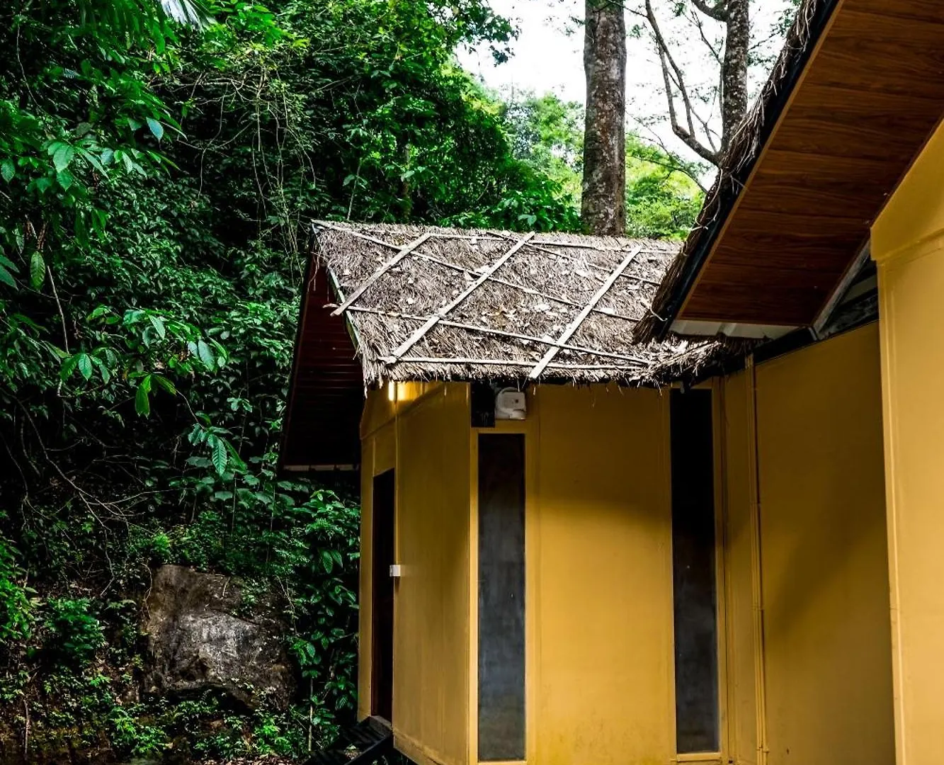 Resort Song Of The Trees Hotel Idukki India