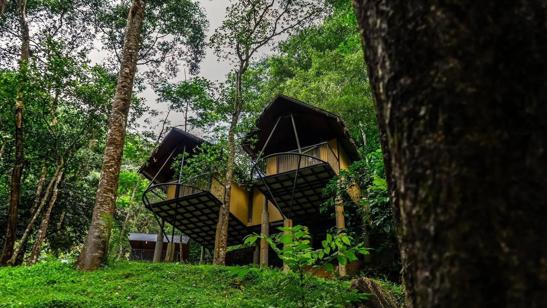 Song Of The Trees Hotel Idukki 0*,  India