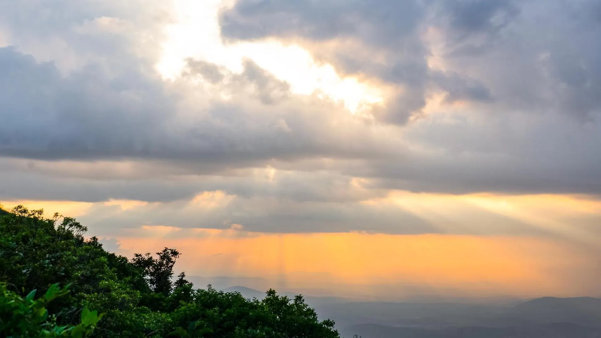 Song Of The Trees Hotel Idukki Resort