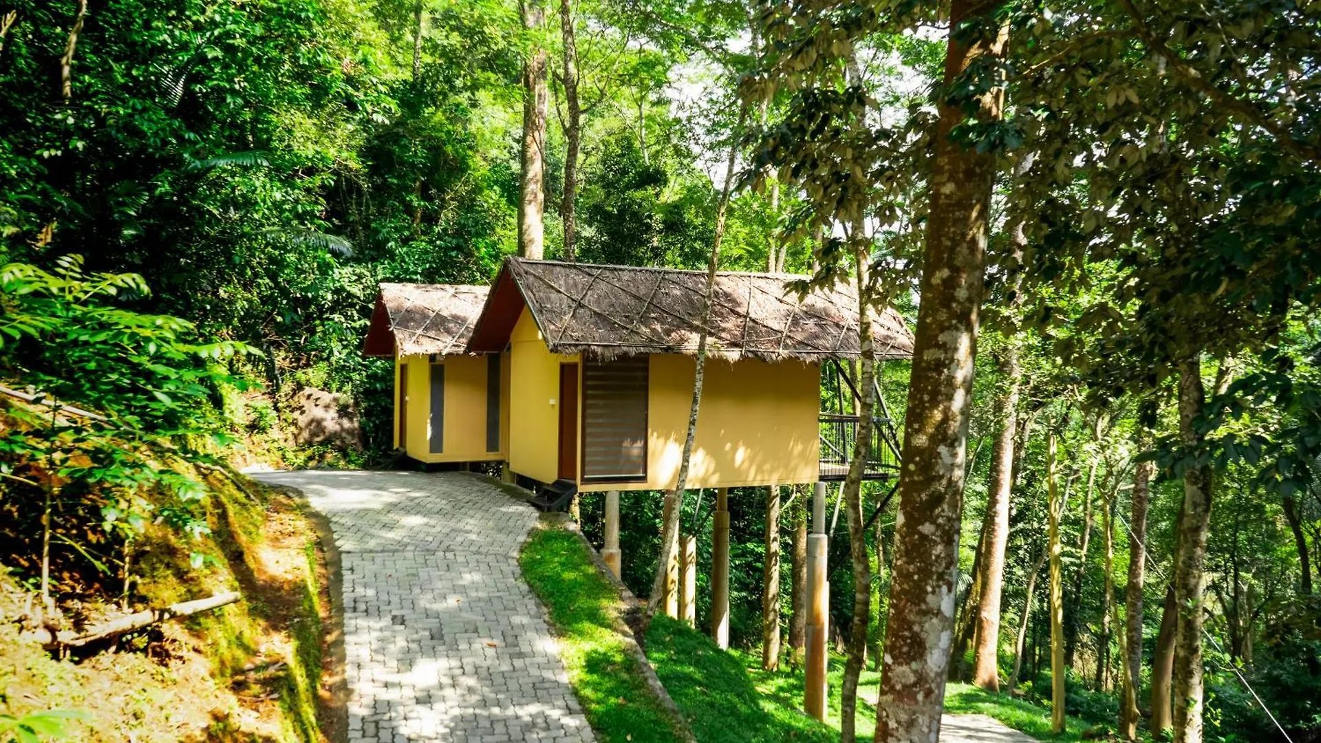 Song Of The Trees Hotel Idukki 0*,