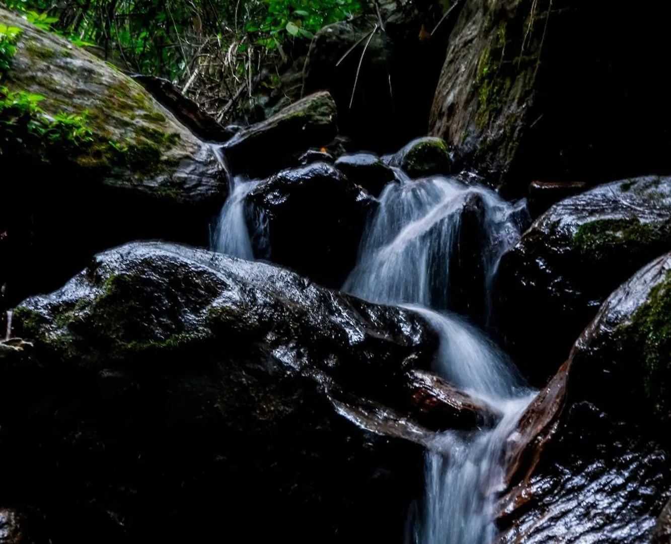 Song Of The Trees Hotel Idukki 0*,