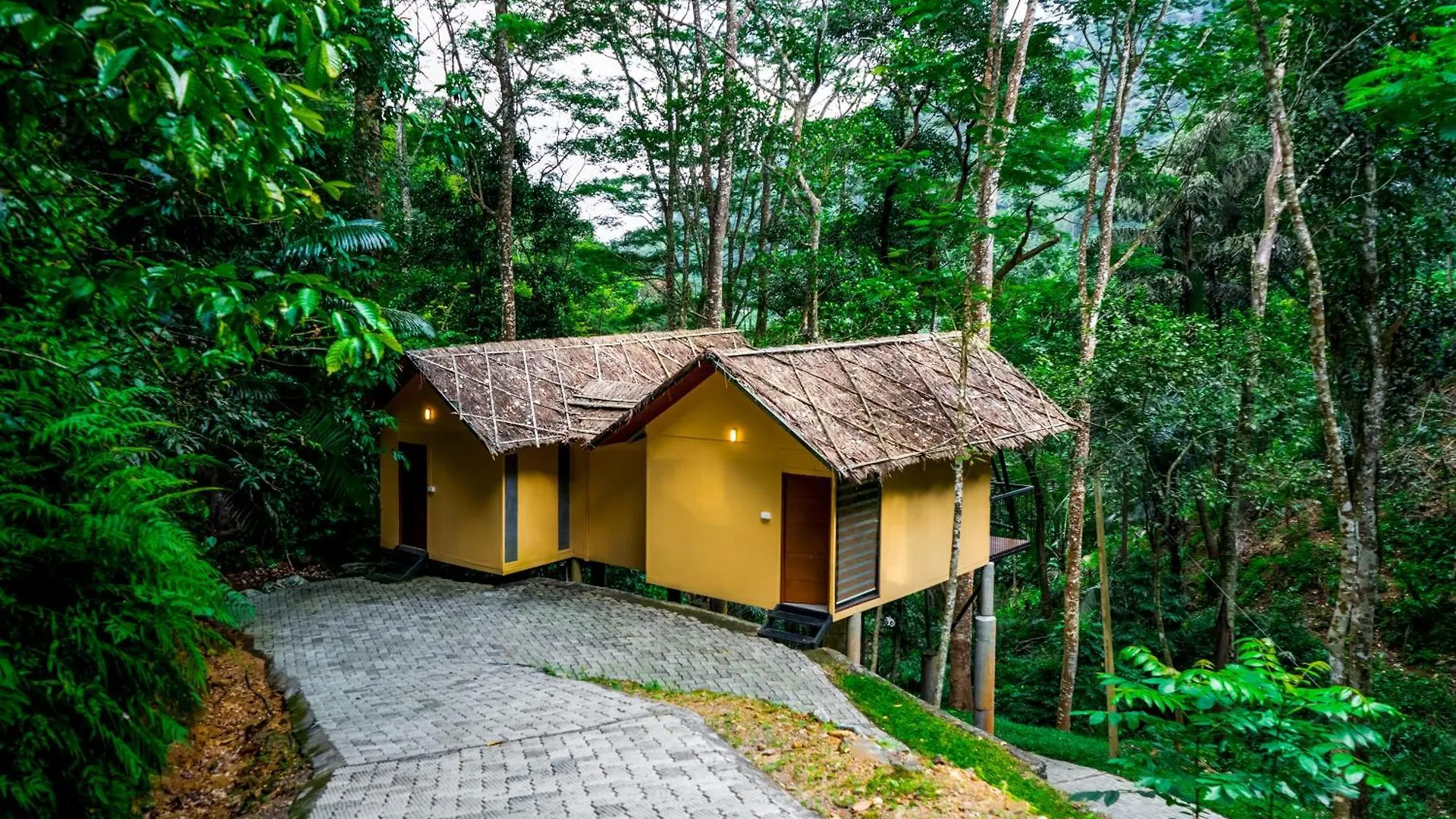Song Of The Trees Hotel Idukki Resort