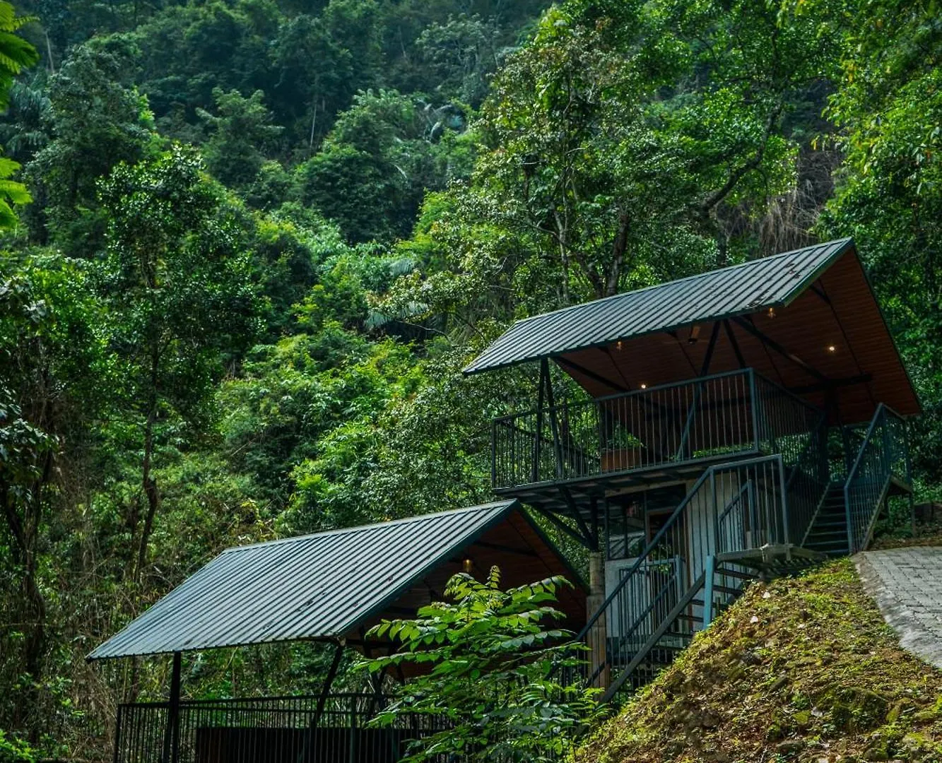 Song Of The Trees Nature Stay Kutitkanam By Lexstays Pīrmed Resort